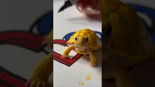 Meet the rare turtle 🐢 ✨️  #turtle #babyturtle #art #drawing #shorts #kids