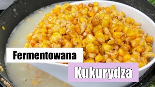 Fermentowana Kukurydza Na Karpie i Amury Jak Przygotować ?