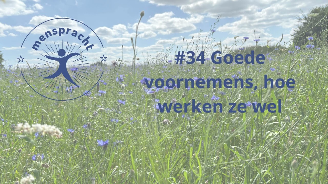 #34 Goede voornemens, hoe werken ze wel