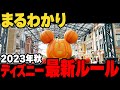 【完全解説】この秋行く方必見！こんなに変わったディズニー最新ルールと注意点の解説【2023年】