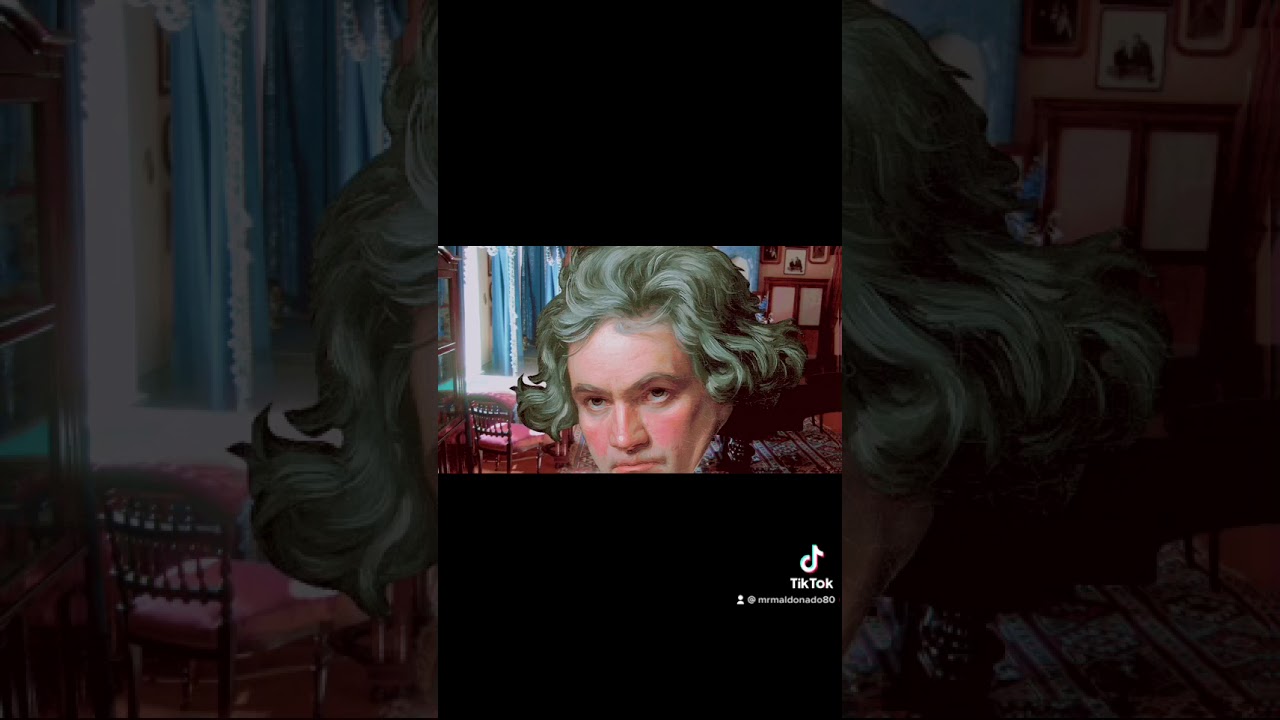 Classic and Flamenco Guitar Beethoven TikTok