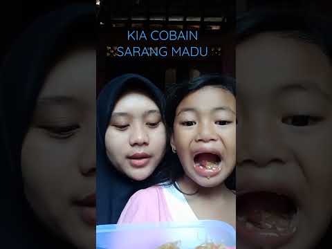 Video: Apakah lebah makan madu atau hanya membuatnya?