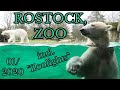 Besuch im Zoo Rostock inkl. "Zoolights"