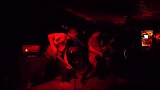 Demersal - Most Wanted