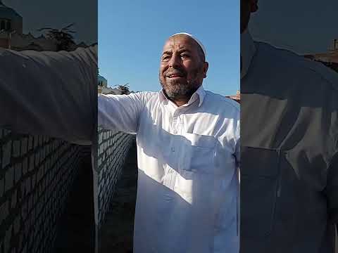 جنازة علي مصطفى مندور في مقابر جزيرة الشافعي 