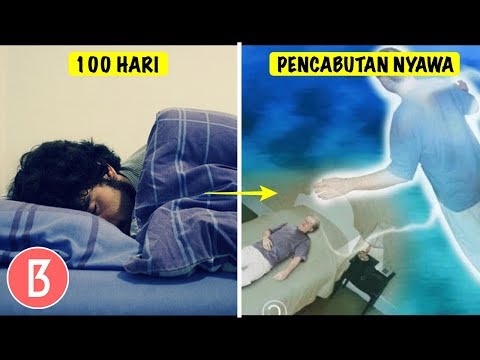 Video: Para Peneliti Telah Menamai Plot Mimpi Menjelang Kematian Mereka - Pandangan Alternatif