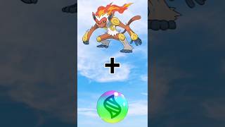 What If Ash Infernape Had Mega Evolution Pokemon Mega Evolution Fusion Poke999 