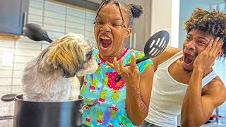 KID COOKS DOG FOR THANKSGIVING, What Happens Next Is Shocking