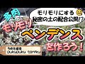 もりもりペンデンスにする秘密の土の配合公開！？　　多肉生産者「pukupuku taniku」