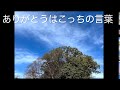 ありがとうはこっちの言葉 森山直太朗 アニメ「ソマリと森の神様」主題歌 【はまりん】1004