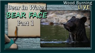 Pyrography: How to Wood Burn a Bear in Water // Bear Face Pt1