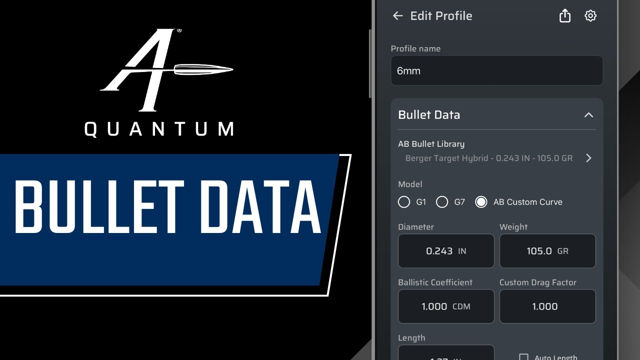 Профиль - Данные пули