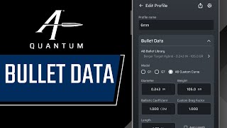 Profile - Bullet Data