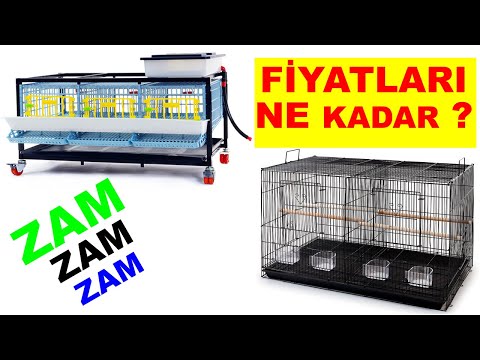 Video: En İyi Hamster Kafesi Boyutu: Ne Kadar Büyük Olmalı?