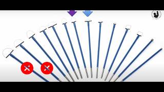 LEEP Demonstration Video Loop Electrosurgical Excision Procedure Leep 3d Animation