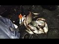 Штормовая рыбалка на Вилейском водохранилище