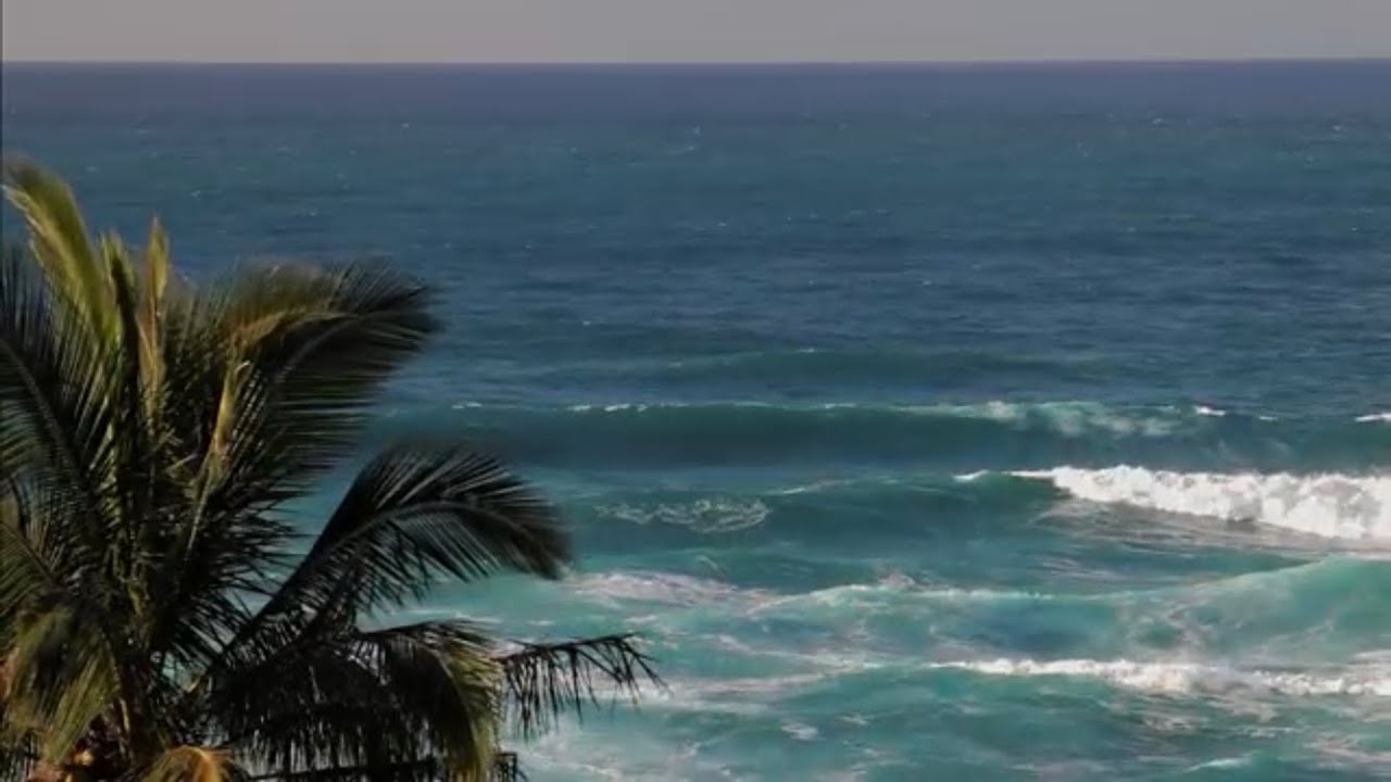 FOR SALE OCEAN FRONT ANDA BOHOL PHILIPPINES // RESORT SIZE LAND FOR