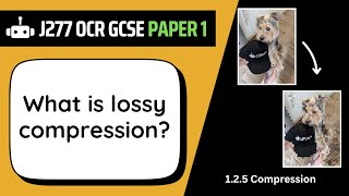 Celebrity Lossy Compression | 2.5 | OCR GCSE Computer Science | J277 Net Worth