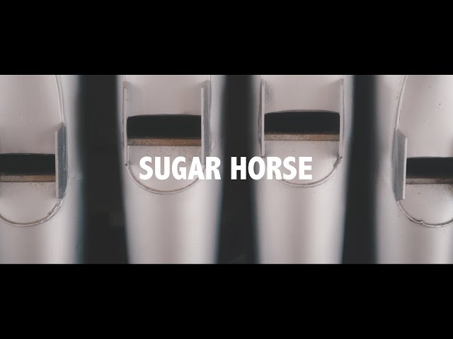 Sugar Horse - 'Phil Spector in Hell' | DOWN TIME by Small Pond