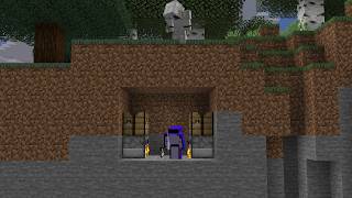 Minecraft survivalist vs hitmen