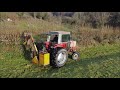 Massey Ferguson 590 Hedge Trimming