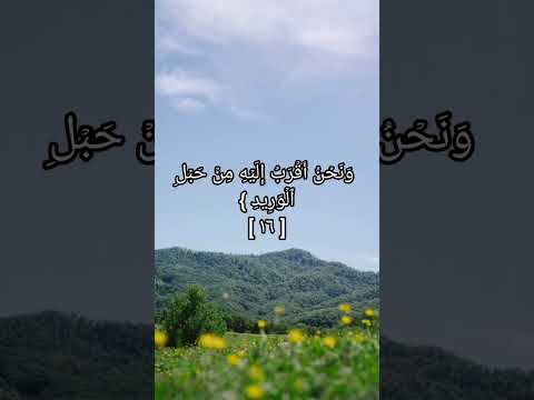 سورة ق القارئ إسلام صبحي