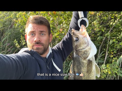 I caught a big walleye at Wolf Lake in Indiana 🎣 #fishing #fishinglife #fishingvideo