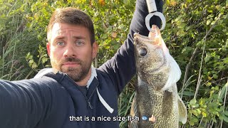 I caught a big walleye at Wolf Lake in Indiana 🎣 #fishing #fishinglife #fishingvideo