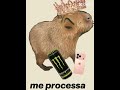 novo nome pra meus queridos capivaras