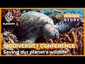 Is it too late to save our planet's biodiversity? | Inside Story