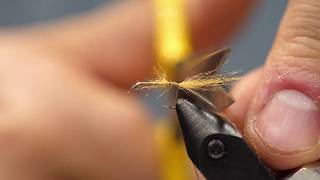 Bow River Troutfitters ties the Hot Butt Caddis