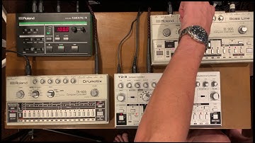 TD-3 with TB-303 and TR-606