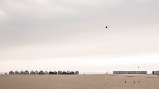 Photo & 4K Video Workflow On The Road - Adobe Premiere Pro. Part 33