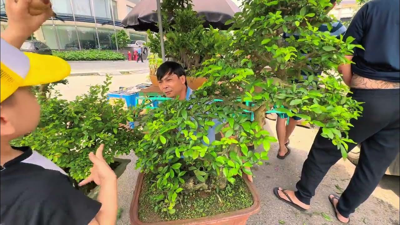 Đi chợ Vạn Phúc để quay clip ai dè lại thành đi CHỐT CÂY - YouTube