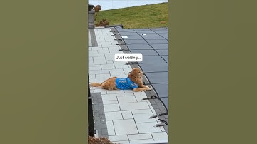 My dog when we close the pool for the winter... 💔