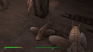 Fallout 4 How big is a legendary radroach?