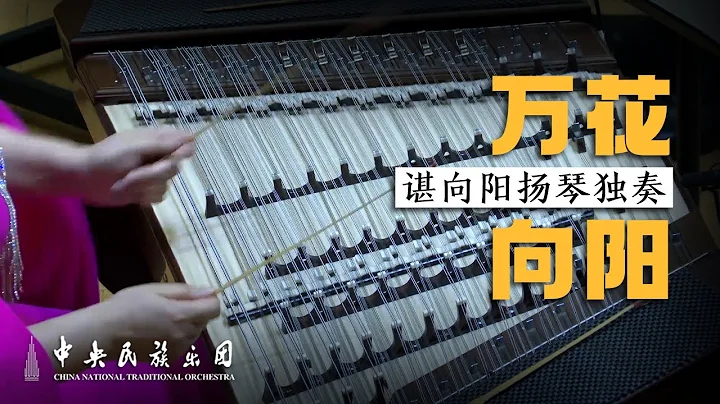 Yangqin: Blossoms to the Sun - Shen Xiangyang | China National Traditional Orchestra - DayDayNews