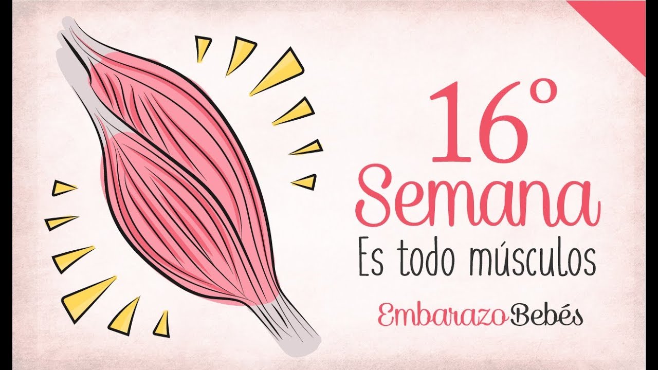 Mozart para bebes en diabetes gestacional