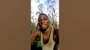 MUNGU WA PILI ASITAFU KUIMBA MNASEMAJE MASHABIKI WA ASILI 
