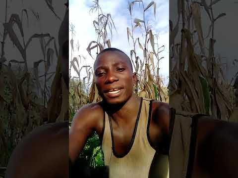 MUNGU WA PILI ASITAFU KUIMBA MNASEMAJE MASHABIKI WA ASILI 