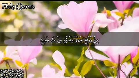 سورة إبراهيم أية 12 الشيخ | إسلام صبحي