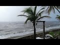 Lluvia Tropical - HD | El Molino de las Flores