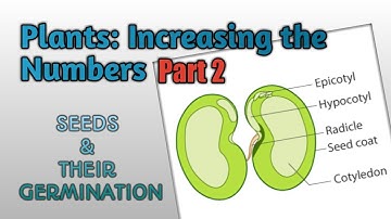 Class 5 | Plants: Increasing the Numbers (Part 2)