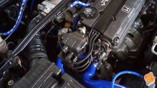 Guano Pereh Sekalo Bereh's broadcast