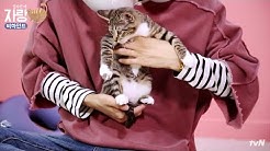 showoff 갓냥이님들의 온도차2 - 집사인게 자랑 8화 비하인드 171004 EP.8