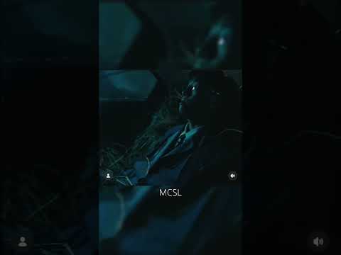 MC 張天賦 無名氏 2026 1 19 12 00 叱咤樂壇首播 2026 1 20 00 00 各大平台上架 Mc張天賦 張天賦 Mc 無名氏 