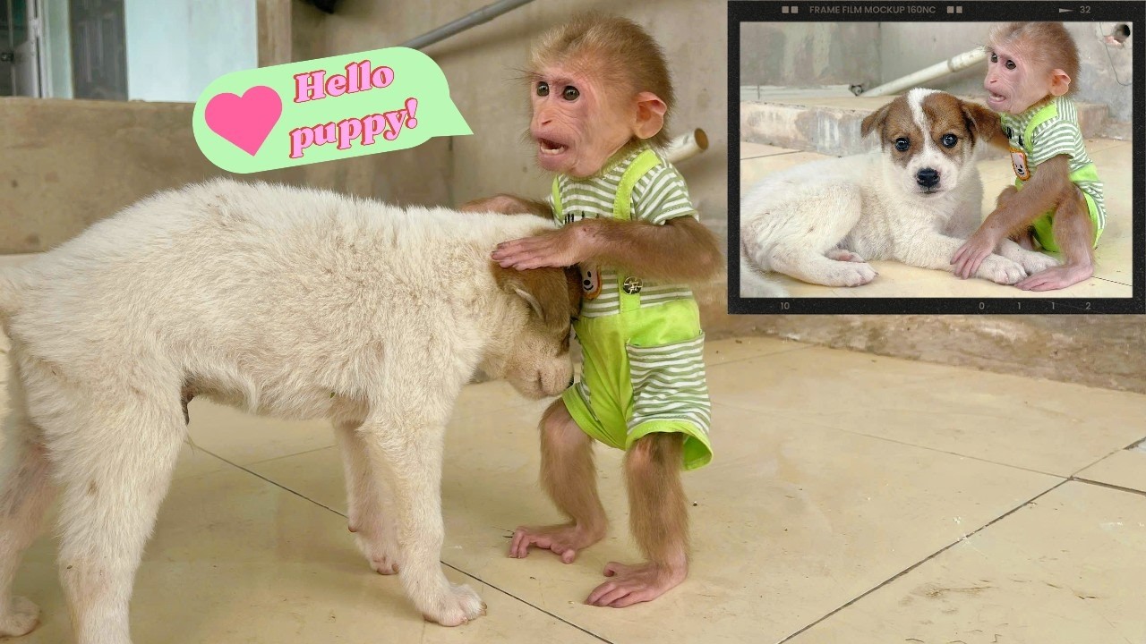 So Cute! Lulu Can’t Hide Her Excitement for the New Family Member