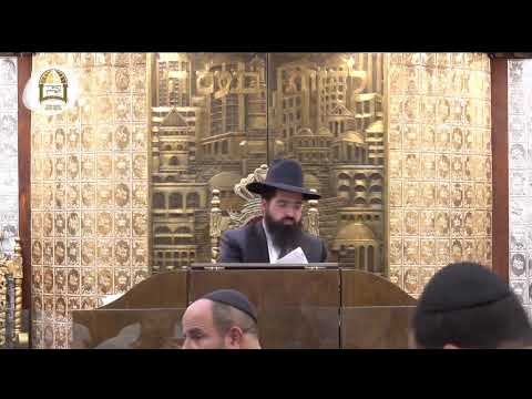 שידור חי מאשדוד | הרב אלעזר אברג'ל שליט"א בן מו"ר הרב ישראל אברג'ל שליט"א