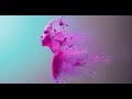 Indigo Daydream - Enter the Indigo Daydream