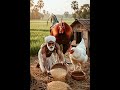 🌹😍एक किसान के पास दो मुर्गियां थे दोनों मुर्गीरोज अंडा 😱🥰#trending #videoviral #shortvideo #video